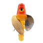 HSR-RD_BSR-GO_TWR-MA_WS-CP.png