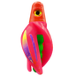 HSR-RD_BSR-GR_TTR-PK_ST-PU.png