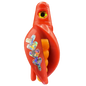 HSR-RD_BSR-MA_TTR-RD_FB-SI.png