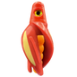 HSR-RD_BSR-MA_TTR-RD_ST-GLW-YE-RD.png