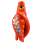 HSR-RD_BSR-OR_TTR-RD_FB-SI.png
