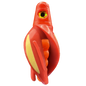 HSR-RD_BSR-OR_TTR-RD_ST-GLW-YE-RD.png