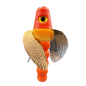 HSR-RD_BSR-OR_TWR-MA_WS-CP.png