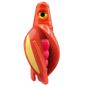 HSR-RD_BSR-PK_TTR-RD_ST-GLW-YE-RD.png