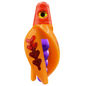 HSR-RD_BSR-PU_TTR-MA_FB-RD.png