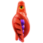 HSR-RD_BSR-PU_TTR-RD_CO-RD.png