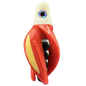 HSR-WH_BSR-BK_TTR-RD_ST-GLW-YE-RD.png