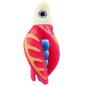 HSR-WH_BSR-BL_TTR-PK_CO-GLW-YE.png