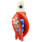 HSR-WH_BSR-BL_TTR-RD_FB-SI.png