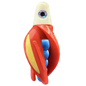 HSR-WH_BSR-BL_TTR-RD_ST-GLW-YE-RD.png