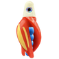 HSR-WH_BSR-BL_TTR-RD_ST-GLW-YE.png