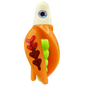 HSR-WH_BSR-CH_TTR-MA_FB-RD.png