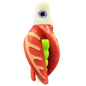 HSR-WH_BSR-CH_TTR-RD_CO-GLW-OR.png