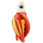 HSR-WH_BSR-GO_TTR-RD_ST-GLW-YE.png
