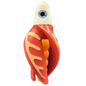 HSR-WH_BSR-MA_TTR-RD_CO-GLW-OR.png
