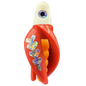 HSR-WH_BSR-MA_TTR-RD_FB-SI.png