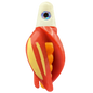 HSR-WH_BSR-MA_TTR-RD_ST-GLW-YE.png