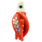 HSR-WH_BSR-OR_TTR-RD_FB-SI.png