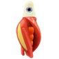 HSR-WH_BSR-OR_TTR-RD_ST-GLW-YE-RD.png