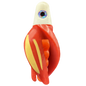 HSR-WH_BSR-OR_TTR-RD_ST-GLW-YE.png