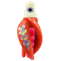 HSR-WH_BSR-PK_TTR-RD_FB-SI.png