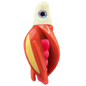 HSR-WH_BSR-PK_TTR-RD_ST-GLW-YE-RD.png