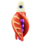 HSR-WH_BSR-PU_TTR-RD_CO-GLW-OR.png