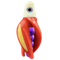 HSR-WH_BSR-PU_TTR-RD_ST-GLW-YE-RD.png