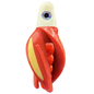 HSR-WH_BSR-RD_TTR-RD_ST-GLW-YE-RD.png