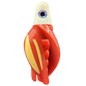 HSR-WH_BSR-RD_TTR-RD_ST-GLW-YE.png