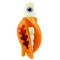 HSR-WH_BSR-WH_TTR-MA_FB-RD.png