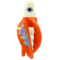 HSR-WH_BSR-WH_TTR-OR_FB-GLW-MJ.png