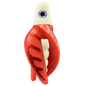 HSR-WH_BSR-WH_TTR-RD_CO-RD.png