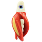 HSR-WH_BSR-WH_TTR-RD_ST-GLW-YE-RD.png