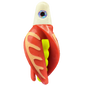 HSR-WH_BSR-YE_TTR-RD_CO-GLW-OR.png