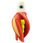 HSR-WH_BSR-YE_TTR-RD_ST-GLW-YE-RD.png