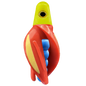 HSR-YE_BSR-BL_TTR-RD_ST-GLW-YE-RD.png