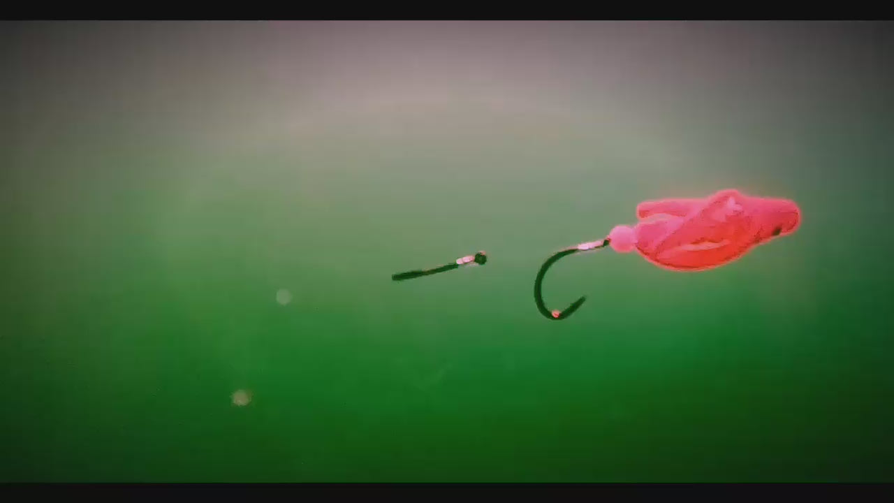 Load video: Video of the TailSpin Scud Kokanee Lure in the water with squid like action and spinning and flash.